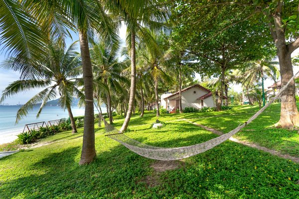 Où pratiquer le snorkeling au milieu des raies manta à Hawaii ?