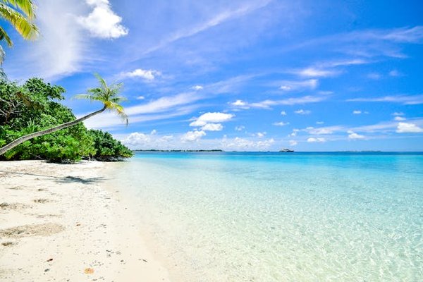 Où trouver les meilleures plages pour la plongée en apnée à Zanzibar?